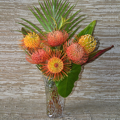 Marsdan Tropical Pincushion Bouquet Flower Git Boxes MT07